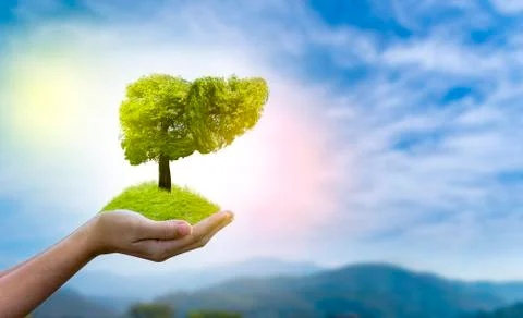 Illustration of a tree in the shape of a liver (environment and medicine) Stock Photos