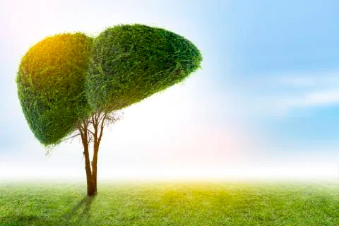 Illustration of a tree in the shape of a liver (environment and medicine) Stock Photos