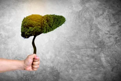 Illustration of a tree in the shape of a liver (environment and medicine) Stock Photos