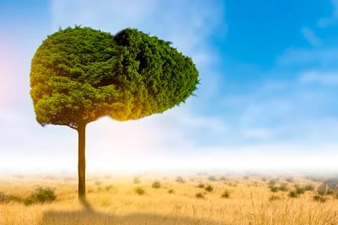 Illustration of a tree in the shape of a liver (environment and medicine) Stock Photos