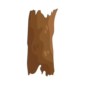 Illustration of tree trunk Stock Illustration