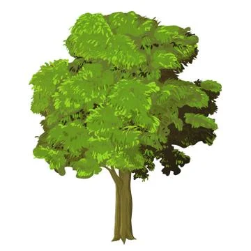 Illustration of Tree - Vector Illustration Stock Illustration