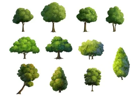 Illustration of trees  isolated on white background Stock Illustration