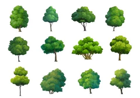 Illustration of trees  isolated on white background. Stock Illustration