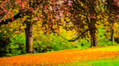 Illustration of trees Stock Photos