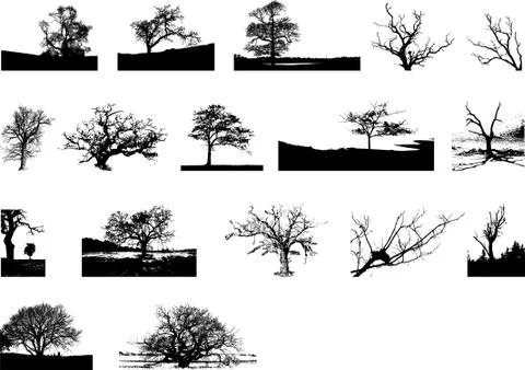 Illustration of trees, with white background vector-eps Stock-Illustration