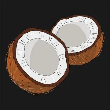 Illustration of a tropical coconut split Stock Illustration