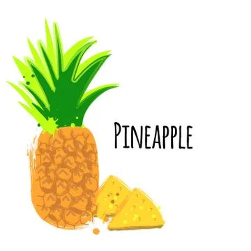 .Illustration of a tropical fruit pineapple slice. Vector. Stock Illustration