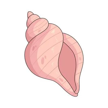 Illustration of tulip seashell 库存插图