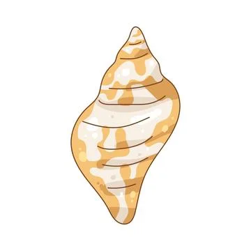 Illustration of tulip shell 库存插图