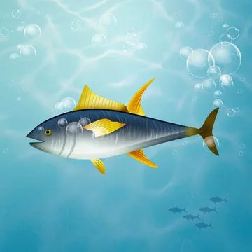 Illustration of tuna Stock Illustration