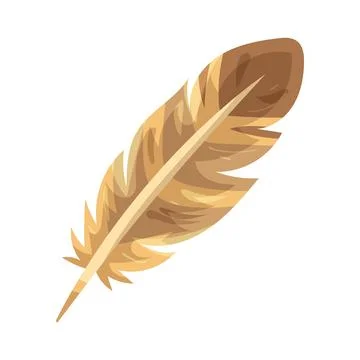 Illustration of turkey feather イラスト素材
