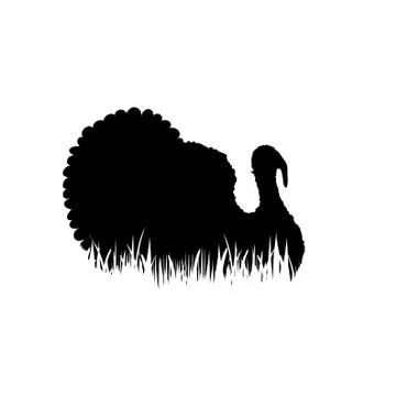 Illustration of turkey icon in the grass. Vector silhouette on white backgrou Stock Illustration