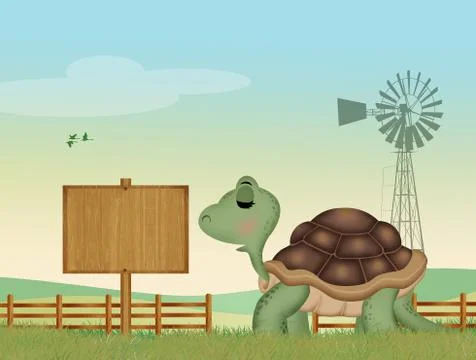 Illustration of turtle Stock Illustration