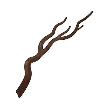Illustration of twig Stock Illustration