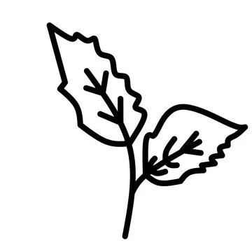Illustration Two mint leaves. Stock Illustration