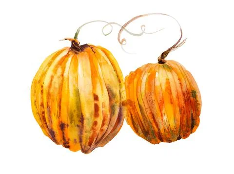 Illustration of two pumpkins isolated Stock Photos