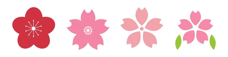 Illustration of various cherry blossoms. Vector. Stock Illustration