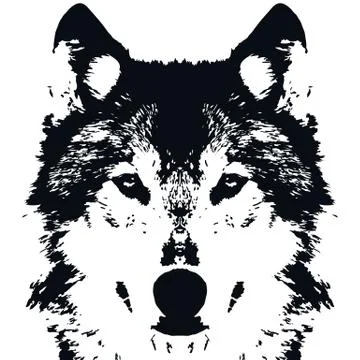 Illustration Vector Black Wolf Stock Illustration