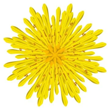Illustration Vector Graphic Flower Stock Illustration