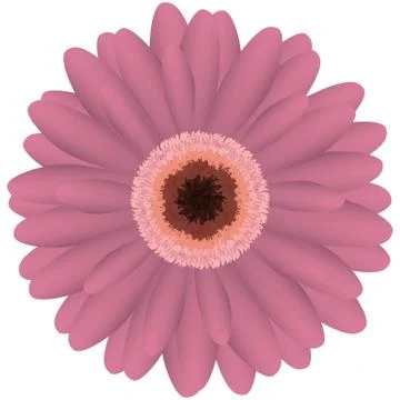 Illustration Vector Graphic Flower Stock Illustration
