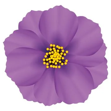 Illustration Vector Graphic Flower Illustrazione stock