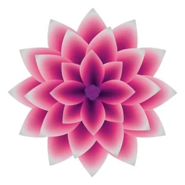 Illustration Vector Graphic Flower Stock Illustration