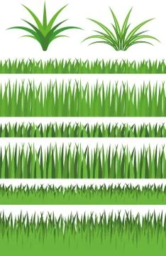 Illustration Vector Graphic Set Grass Illustrazione stock