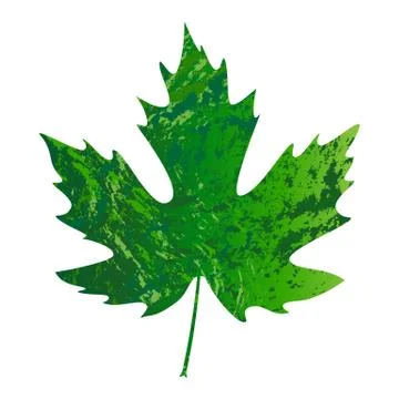 Illustration of vector maple leaf in grunge style Stock Illustration