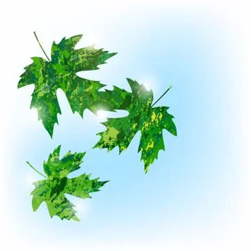 Illustration of vector maple leaf in grunge style Stock Illustration