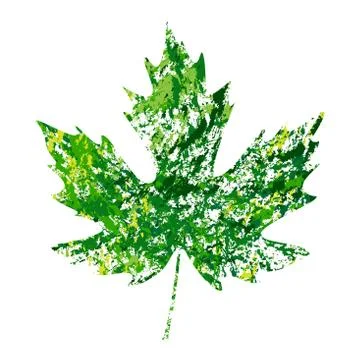Illustration of vector maple leaf in grunge style Stock Illustration