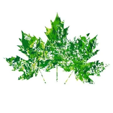 Illustration of vector maple leaf in grunge style Stock Illustration