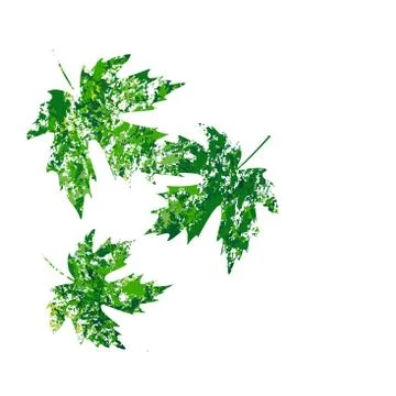 Illustration of vector maple leaf in grunge style イラスト素材