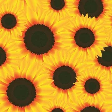 Illustration Vector Seamless Pattern Flower Sunflower Stock Illustration