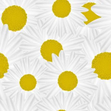 Illustration Vector Seamless Pattern Flower Stock Illustration