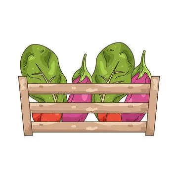 Illustration of Vegetable in crate Stock Illustration