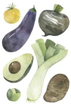 Illustration of vegetables on a white background Stock Illustration