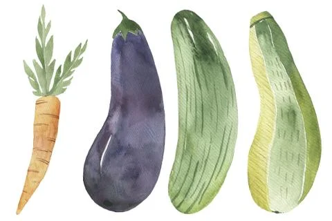 Illustration of vegetables on a white background Stock Illustration