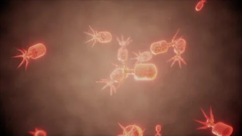 Illustration of virus cells or bacteria molecule under microscope Stock Illustration