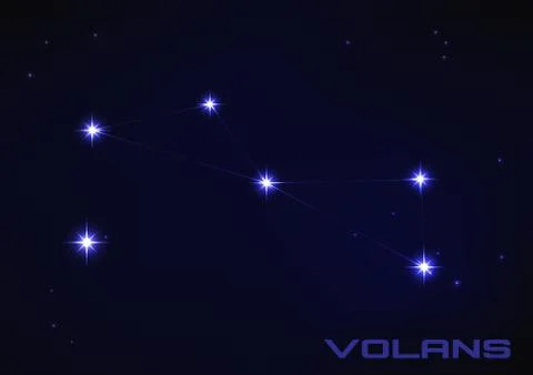 Illustration of volans constellation Stock Illustration