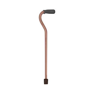 Illustration of walking stick Stock Illustration