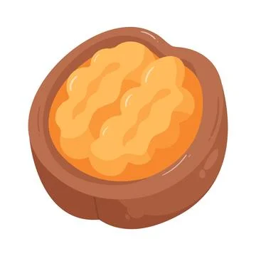 Illustration of walnut Stock Illustration