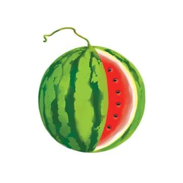 Illustration of watermelon with clipping paths Stock Illustration