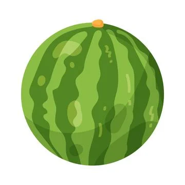 Illustration of watermelon Stock Illustration