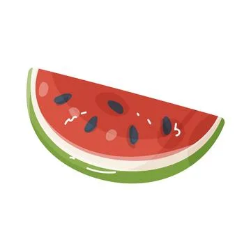 Illustration of watermelon slice Stock Illustration