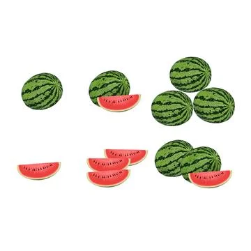 Illustration of watermelon Vector Design Stock-Illustration