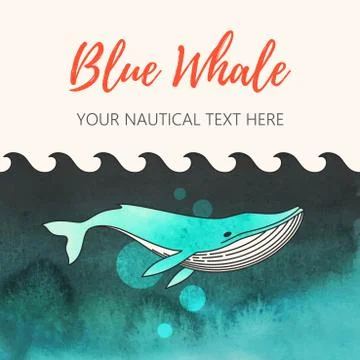 Illustration of whale Stock Illustration