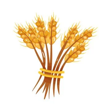 Illustration of wheat bundle Stock Illustration