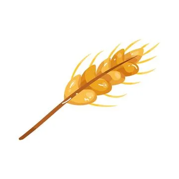 Illustration of Wheat Stock Illustration