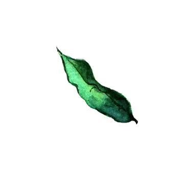 Illustration on a white background single green leaf Stock Illustration